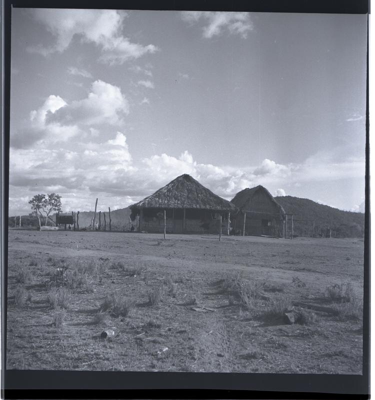 Image of Black and white medium format negative of buildings