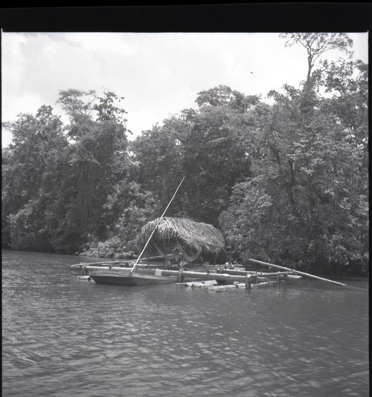 Image of Black and white medium format negative of raft with thatched roof and logs at side of river