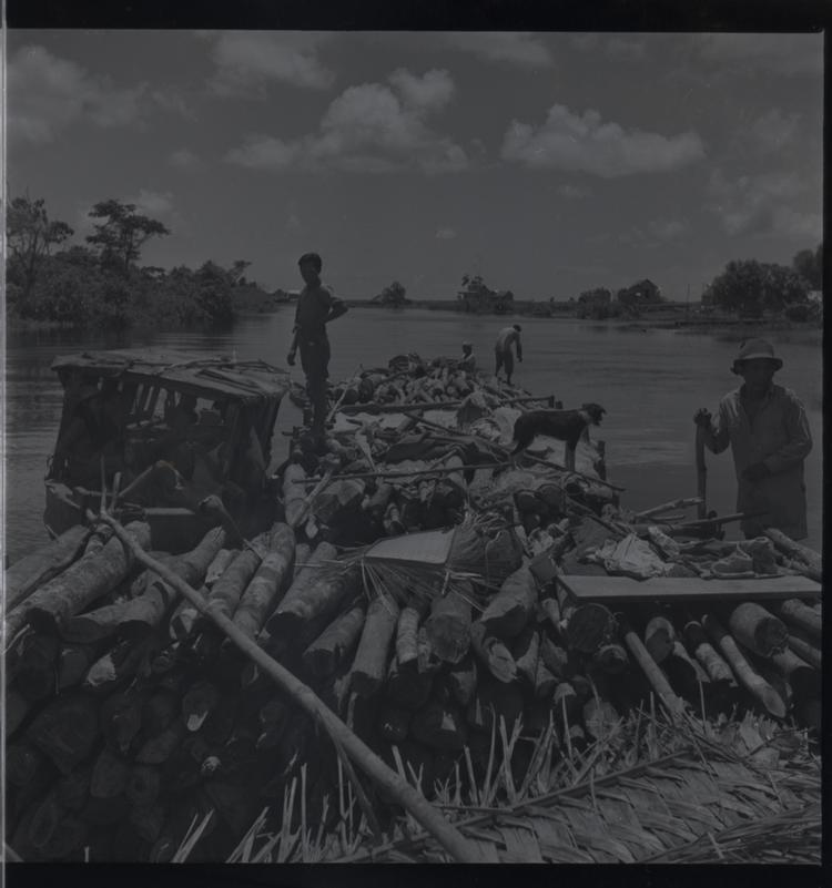 Image of Black and white medium format negative of men and dog on loaded firewood raft