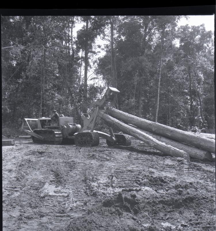 image of Black and white medium format negative of a bulldozer moving logs in a forest