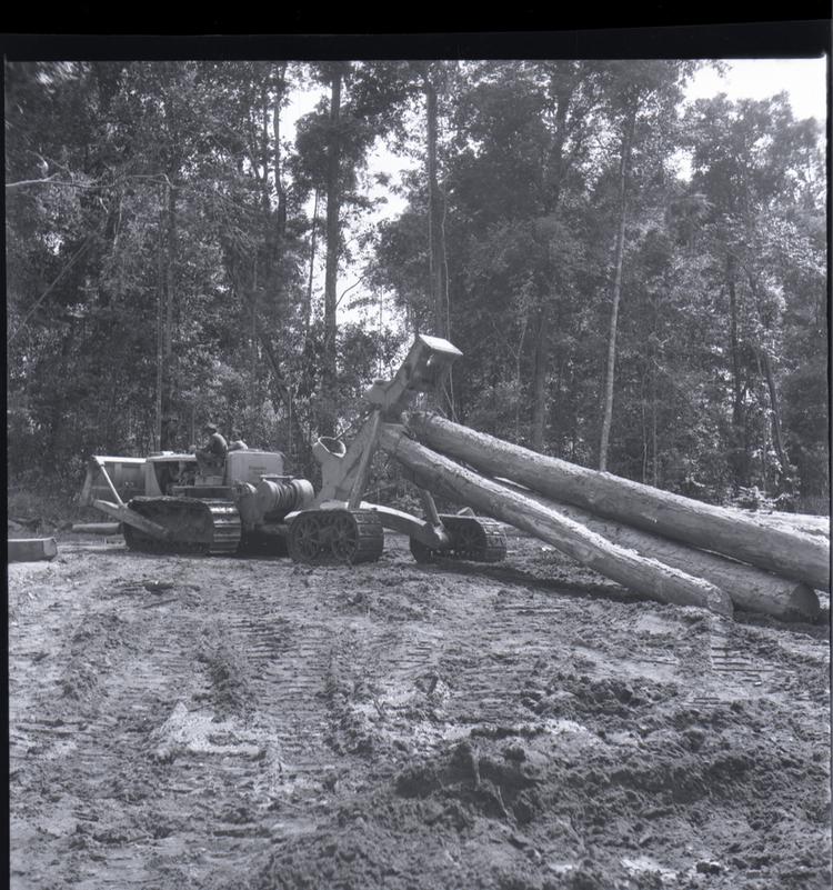 Image of Black and white medium format negative of a bulldozer moving logs in a forest