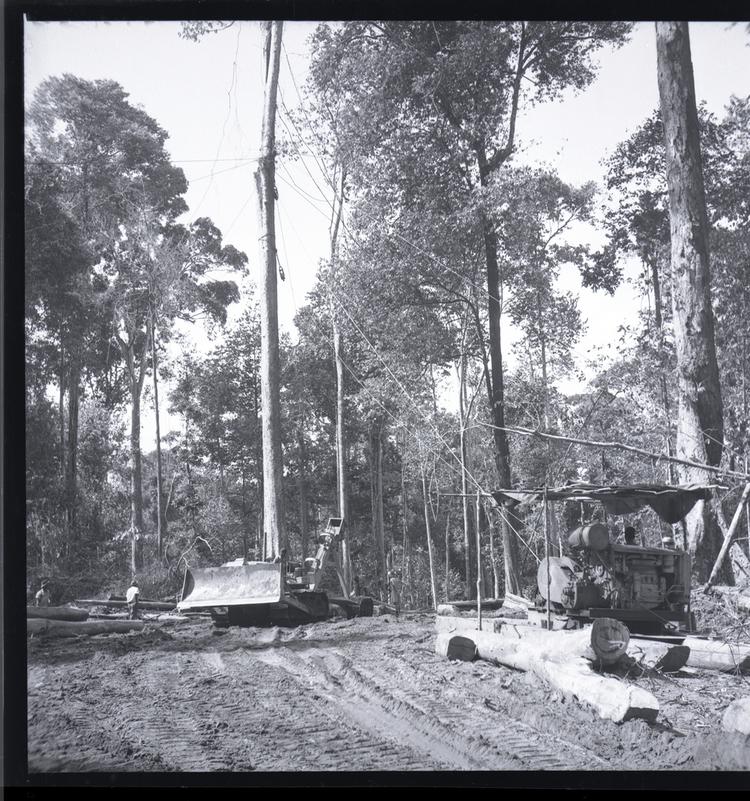 image of Black and white medium format negative of machinery working in forest