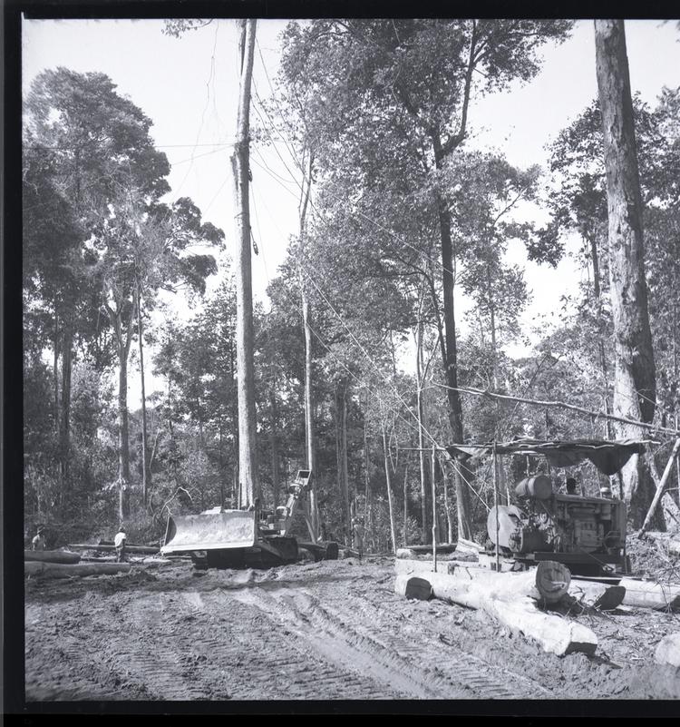 Image of Black and white medium format negative of machinery working in forest