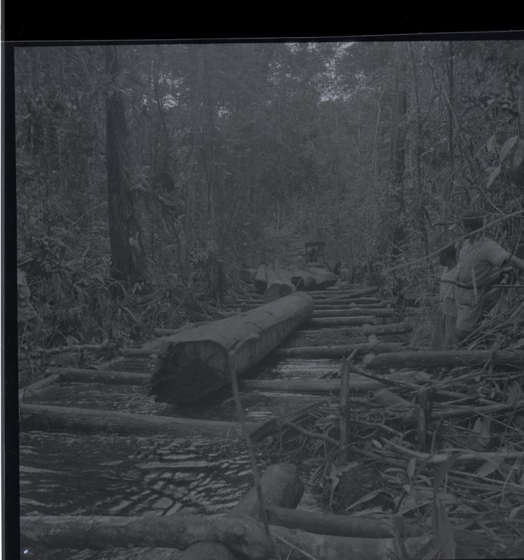 Image of Black and white medium format negative of two men standing to one side as huge logs are moved along log ramp