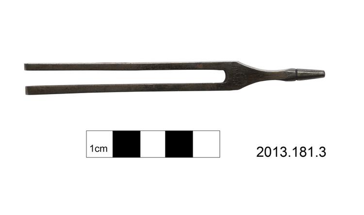Image of zither; tuning-fork (tuning implement)