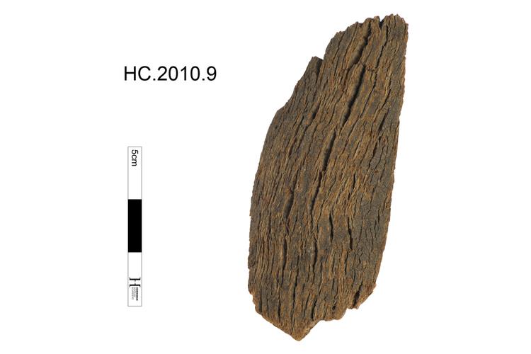 Image of bark