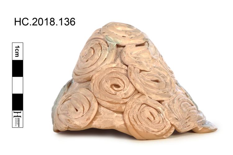 Image of shell