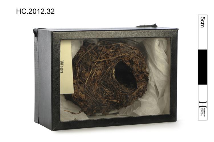 Image of bird nest