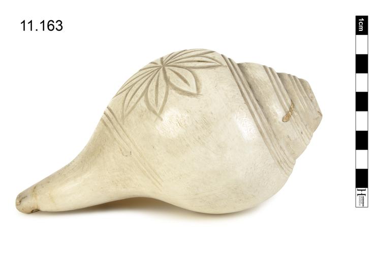 Image of 423.111.1 End-blown conches without mouthpiece