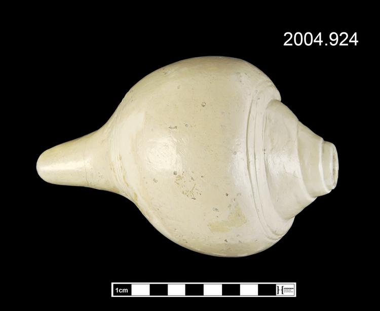 Image of sankh; conch shell trumpet