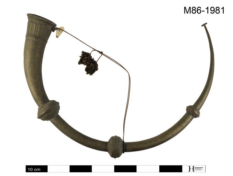 narsinga; horn