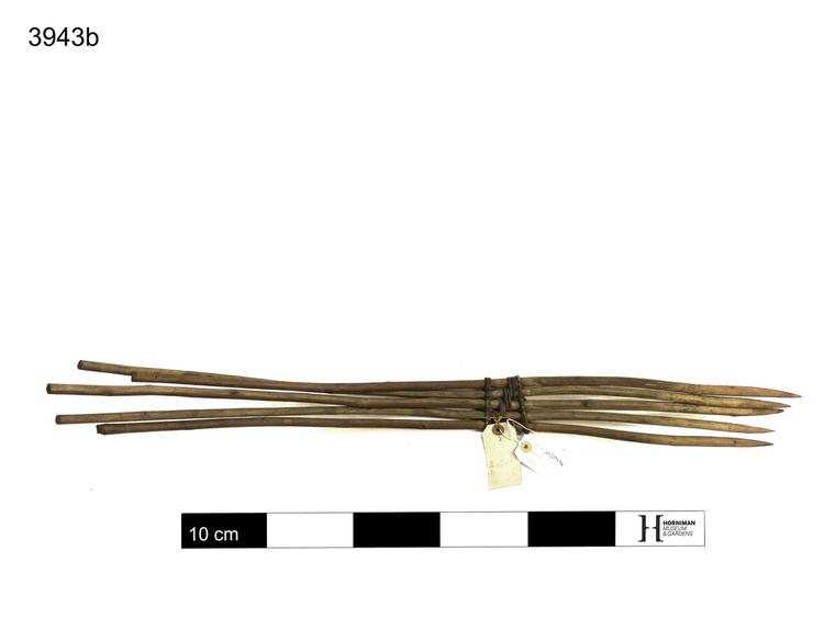 Image of pluriarc