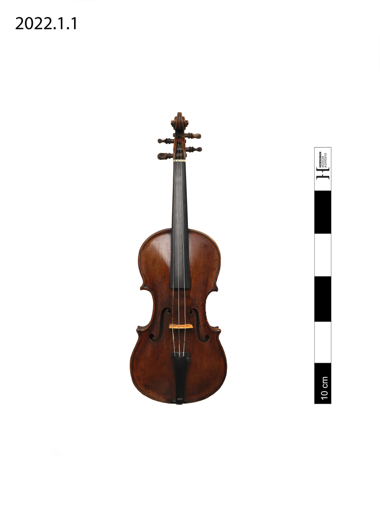 image of violin