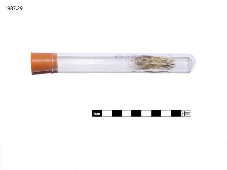 Image of medicine sample (medical science)