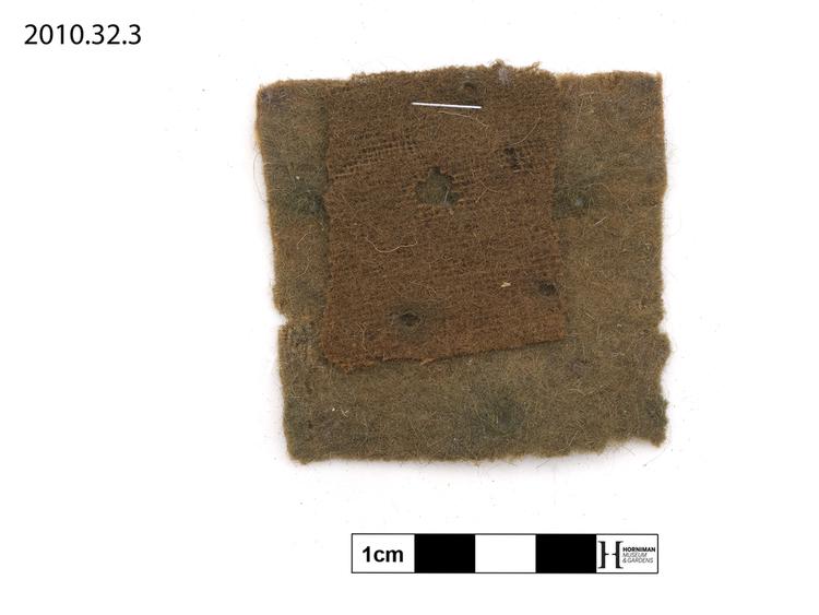 Image of 