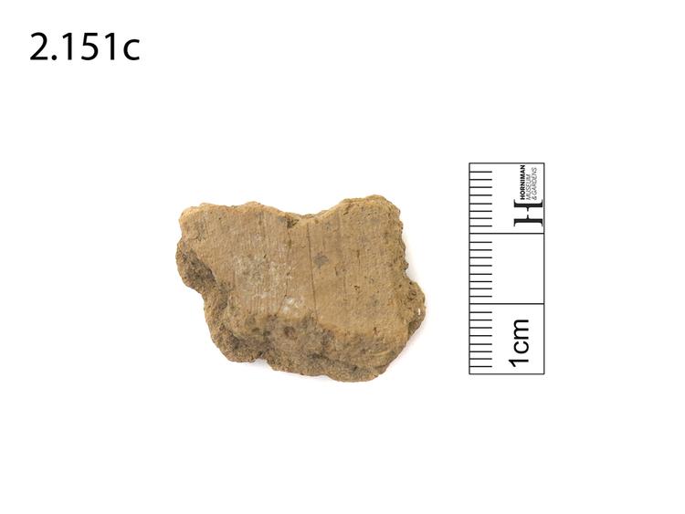 Image of