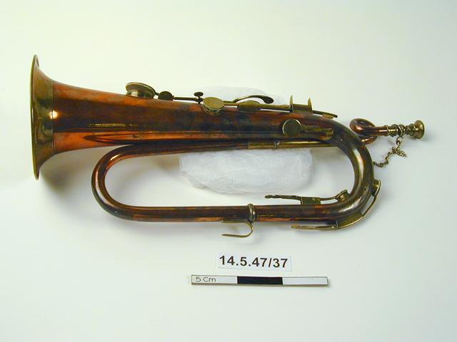 General view of object no. 14.5.47/37.