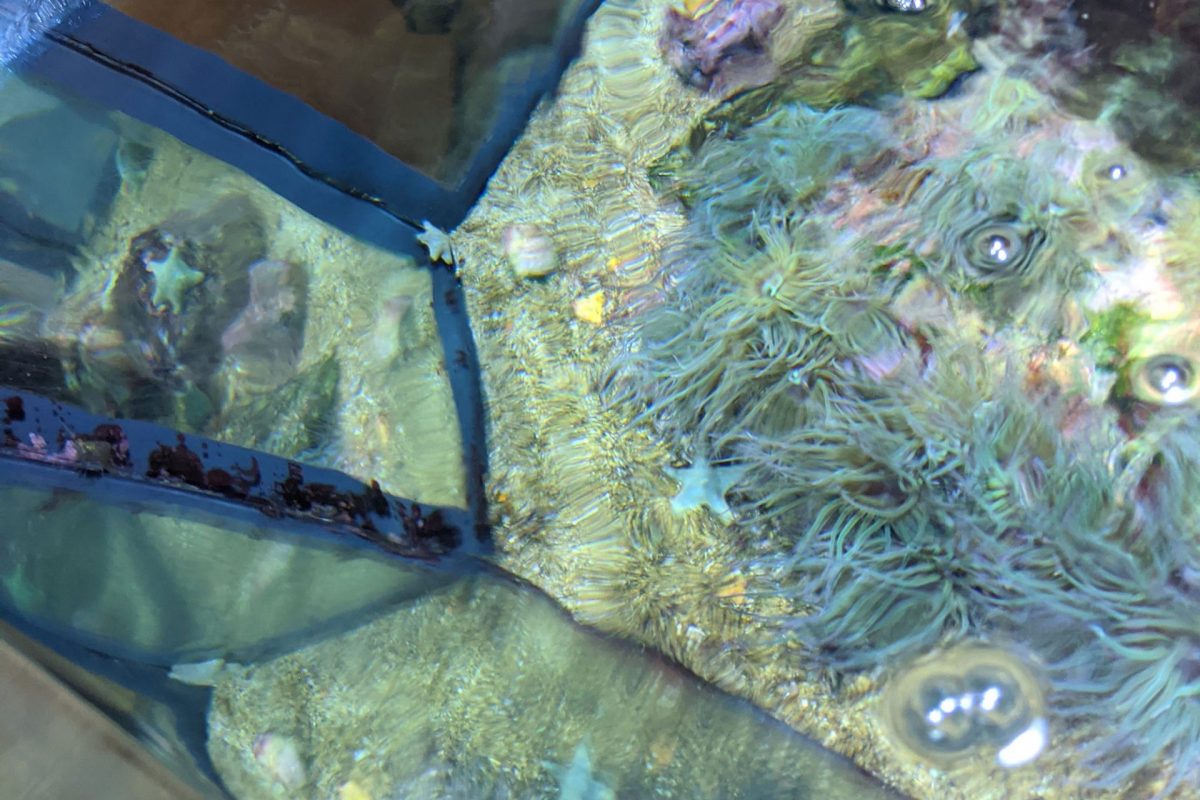 where liscence key & data saved marine aquarium 3 where liscence key & data saved marine aquarium 3
