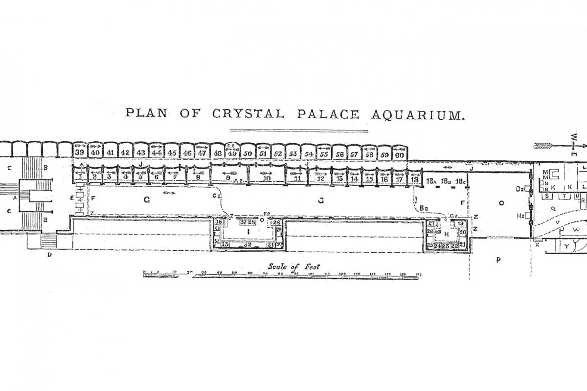 A plan of Crystal Palace Aquarium