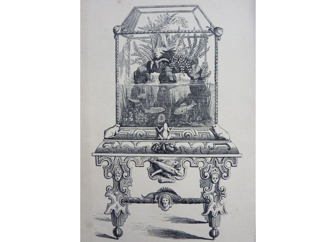 A drawing of an old ornate aquarium case