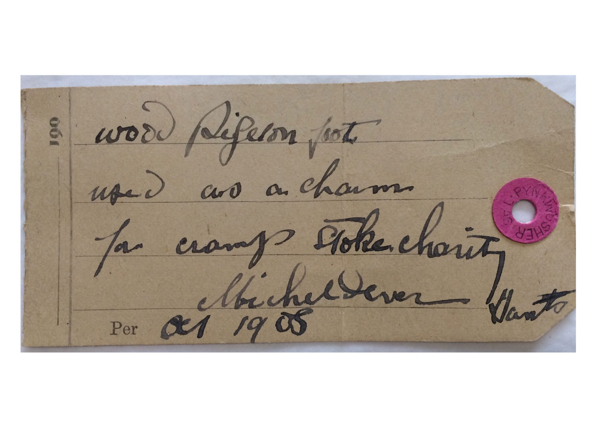 A label from the collections with a handwritten text about a wood pigeons foot