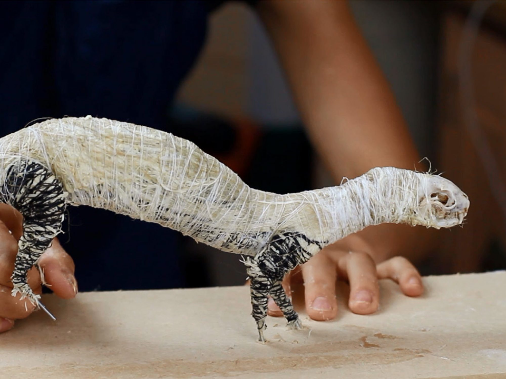A taxerdermy model without the skin on - wires and stuffing along with a skull, all shaped to resemble the body of a stoat
