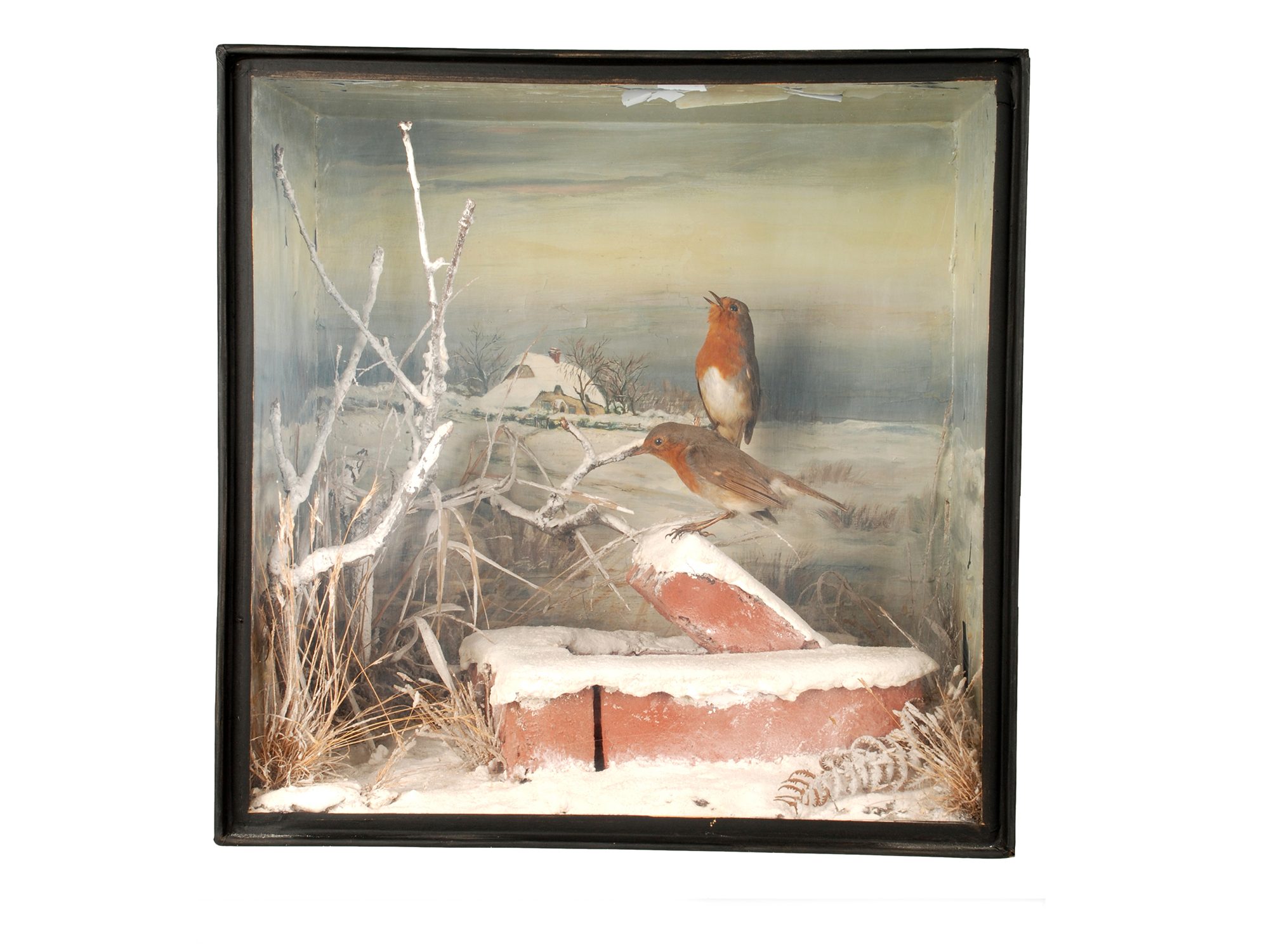 Two taxidermy birds in Christmas scene