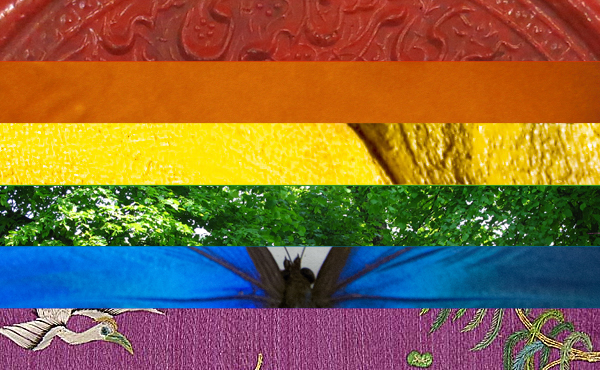 Rainbow flag containing clownfish tree, fabric and butterly