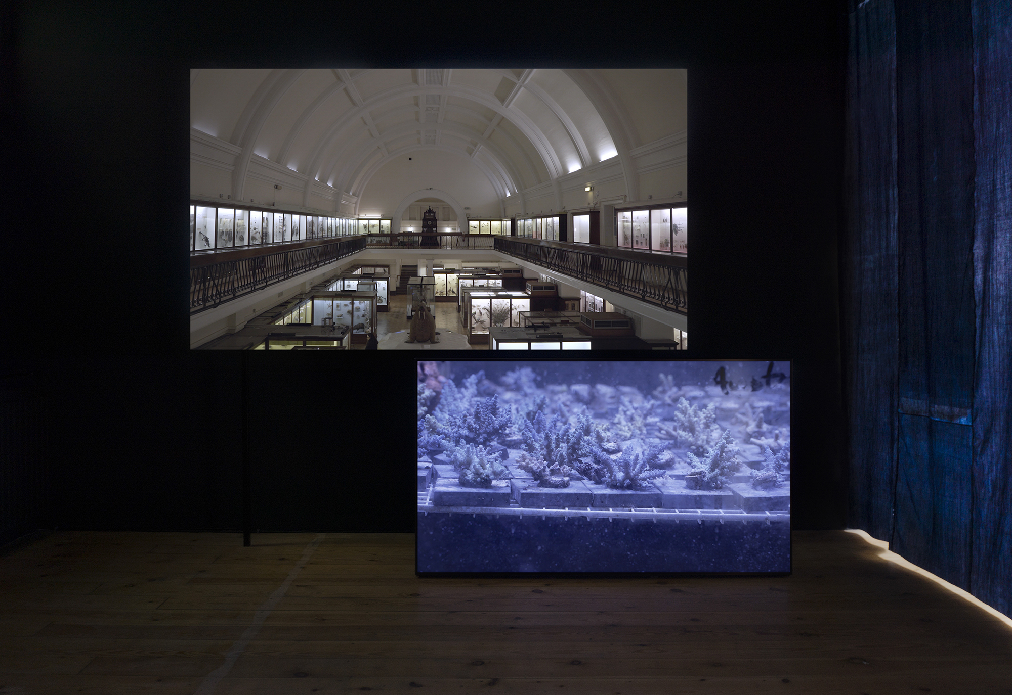 two screens, one displaying the Museum, the other coral