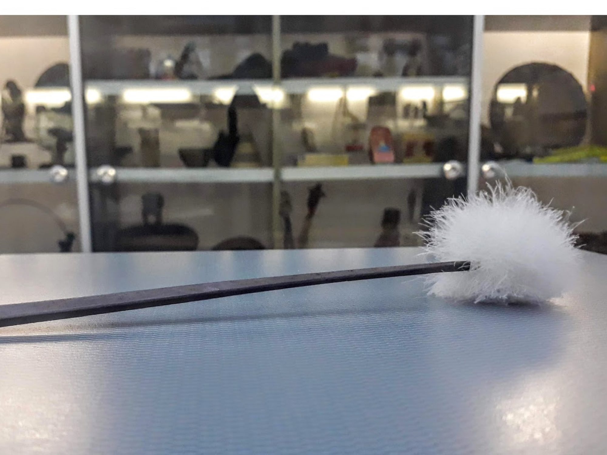 A stick with a fluffy white ball at the end - there are two pictures one on top of the other