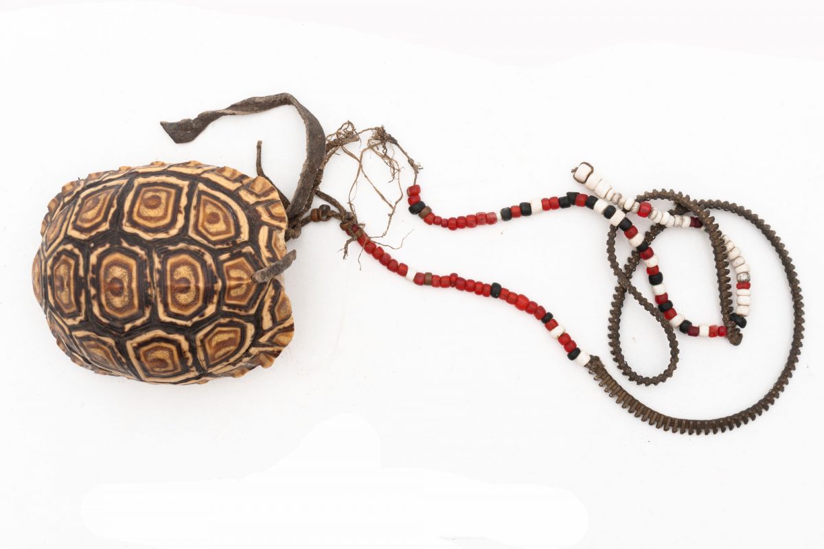 A tortoise shell attached to a string of beads