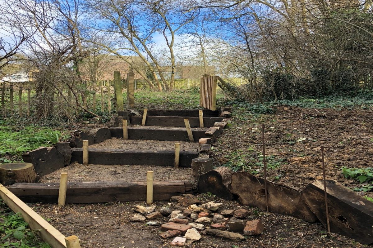 Steps in woodland area.