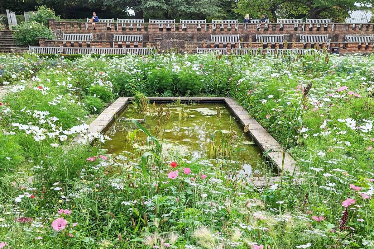 The Sunken Gardens full of lush green plants