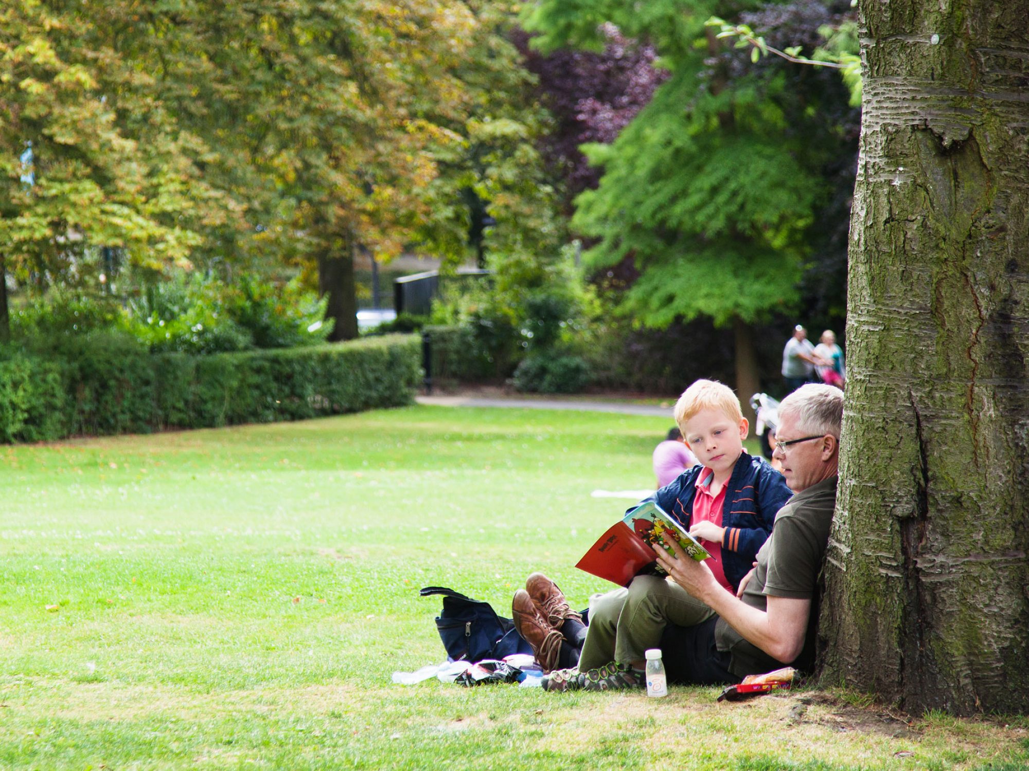 A boy sits on a man's lap reading a story underneath a tree in a green grassy area. The image looks summery.