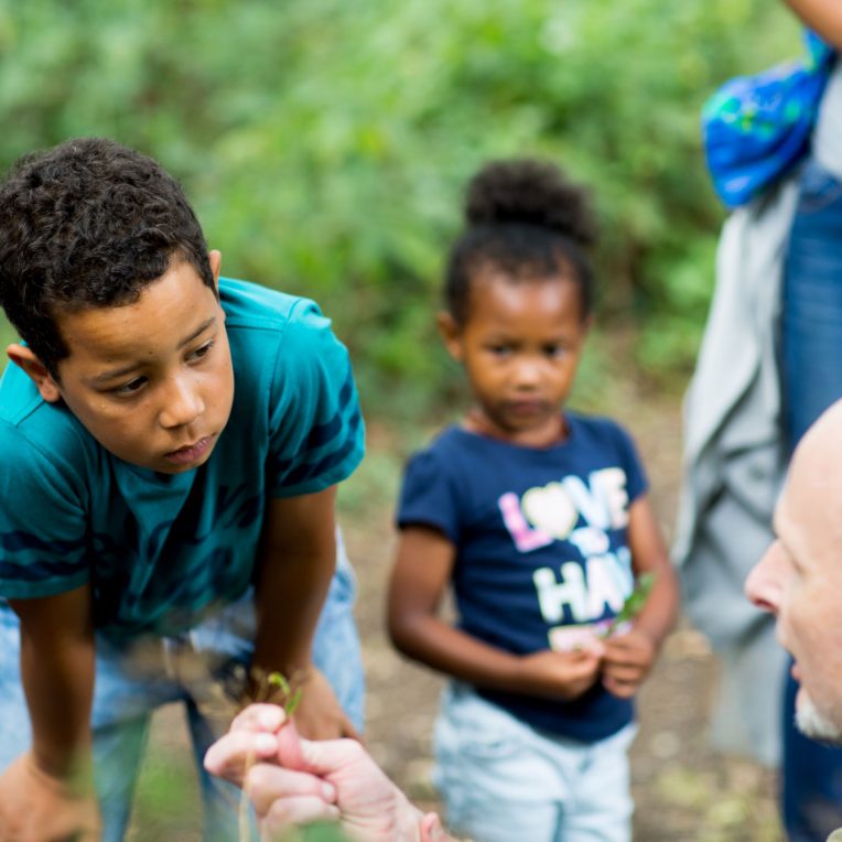 Top tips for tackling the climate emergency