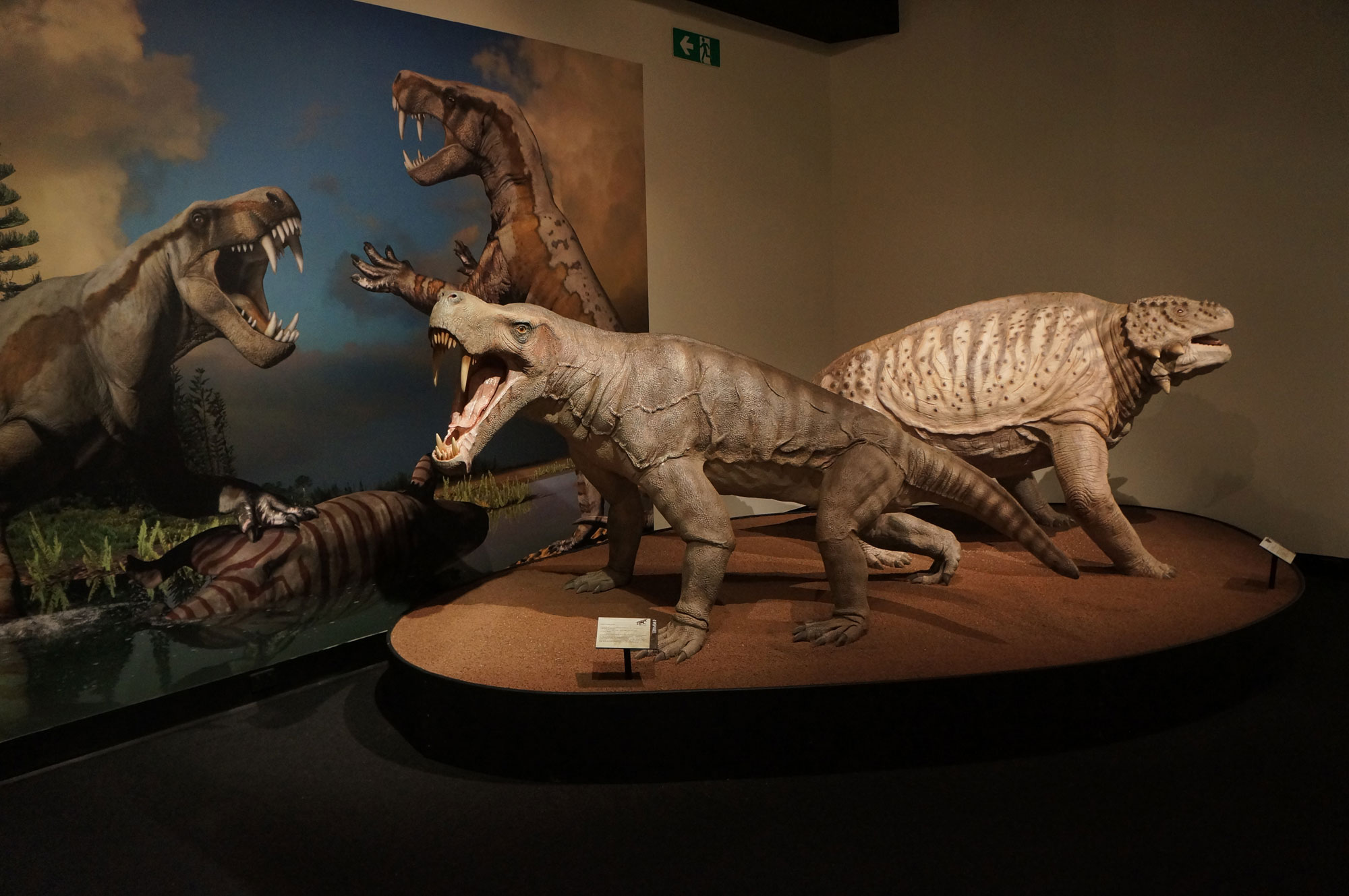 Two large models of synapsids