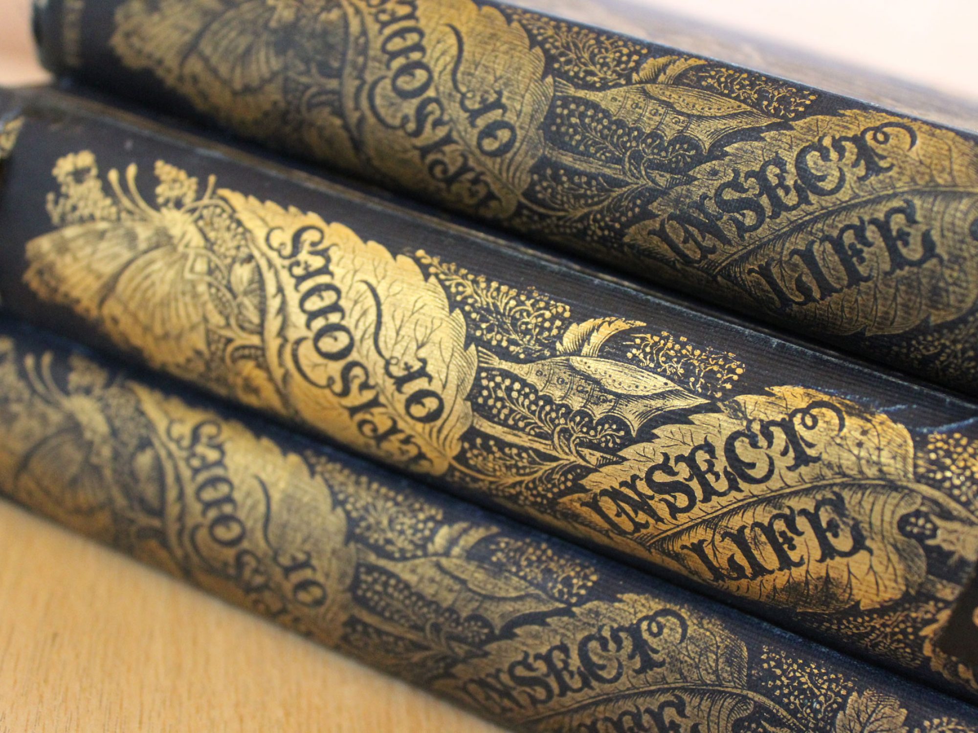 A stack of three ornate books, in blue leather with gold embossed text and drawings on the spines. They read Episodes of Insect Life