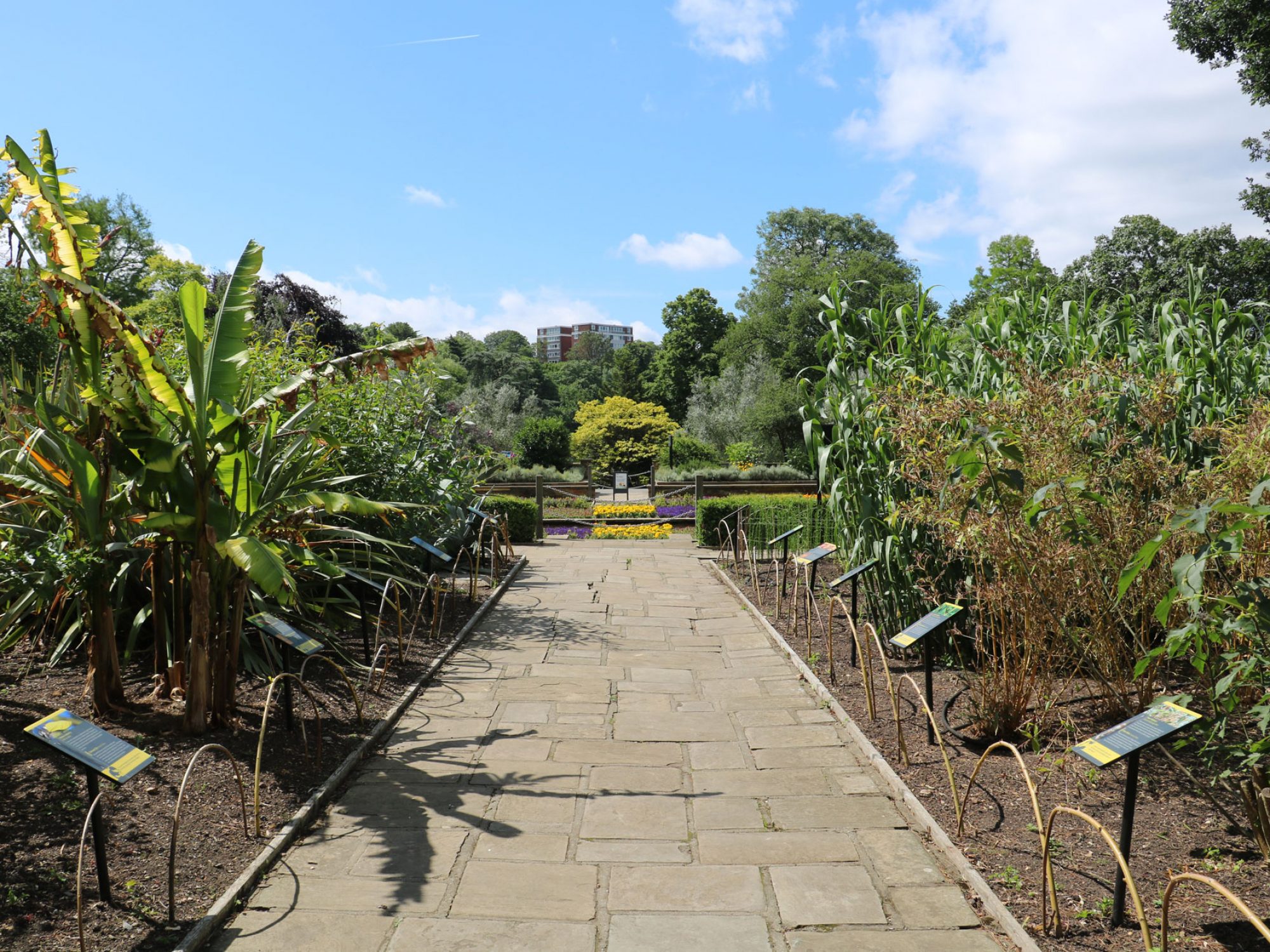A path leads from the camera straight on into the distance. To either side are flower beds with large green plants of different varieties. The sky is blue and there are trees in the distance