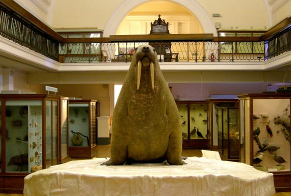 Natural History Gallery