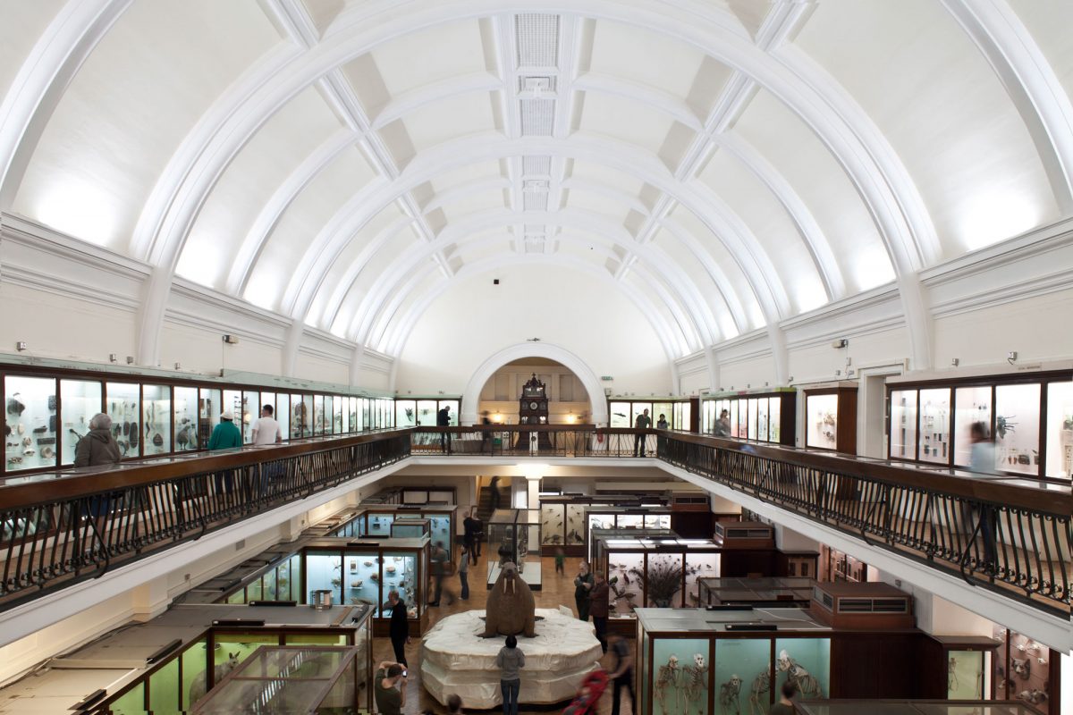 Natural History Gallery seen from the balcony above it