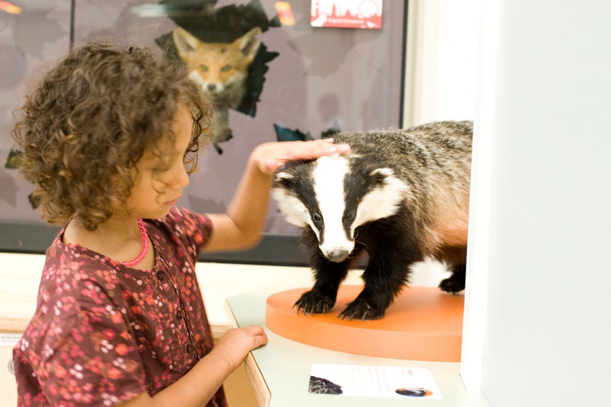 A girl stroking a stuffed badger