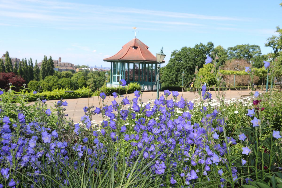 Flowers near a bandstand