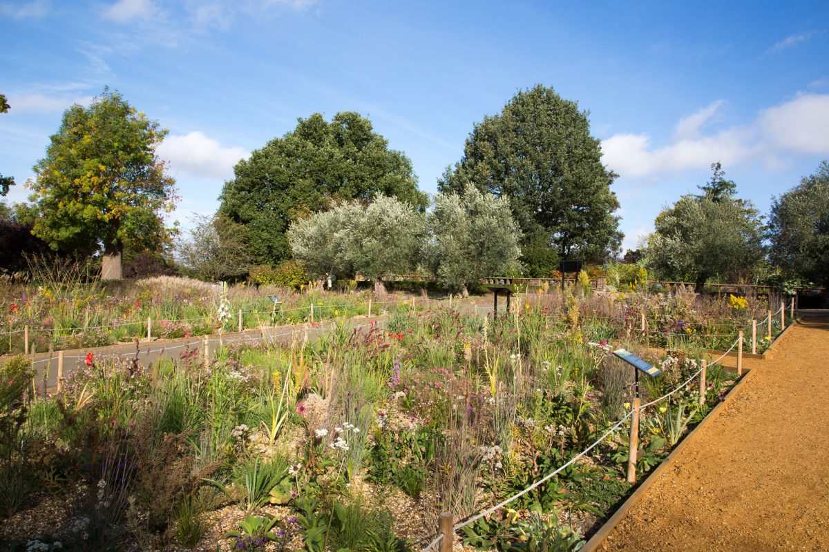 A summer day in the Grasslands Garden