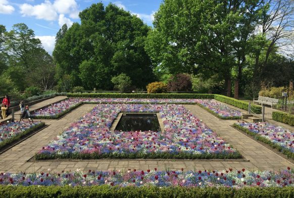 A square pond surrounded by flower beds