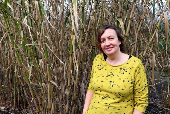 A woman in a yellow top stands in front of some bamboo and smiles at the camera