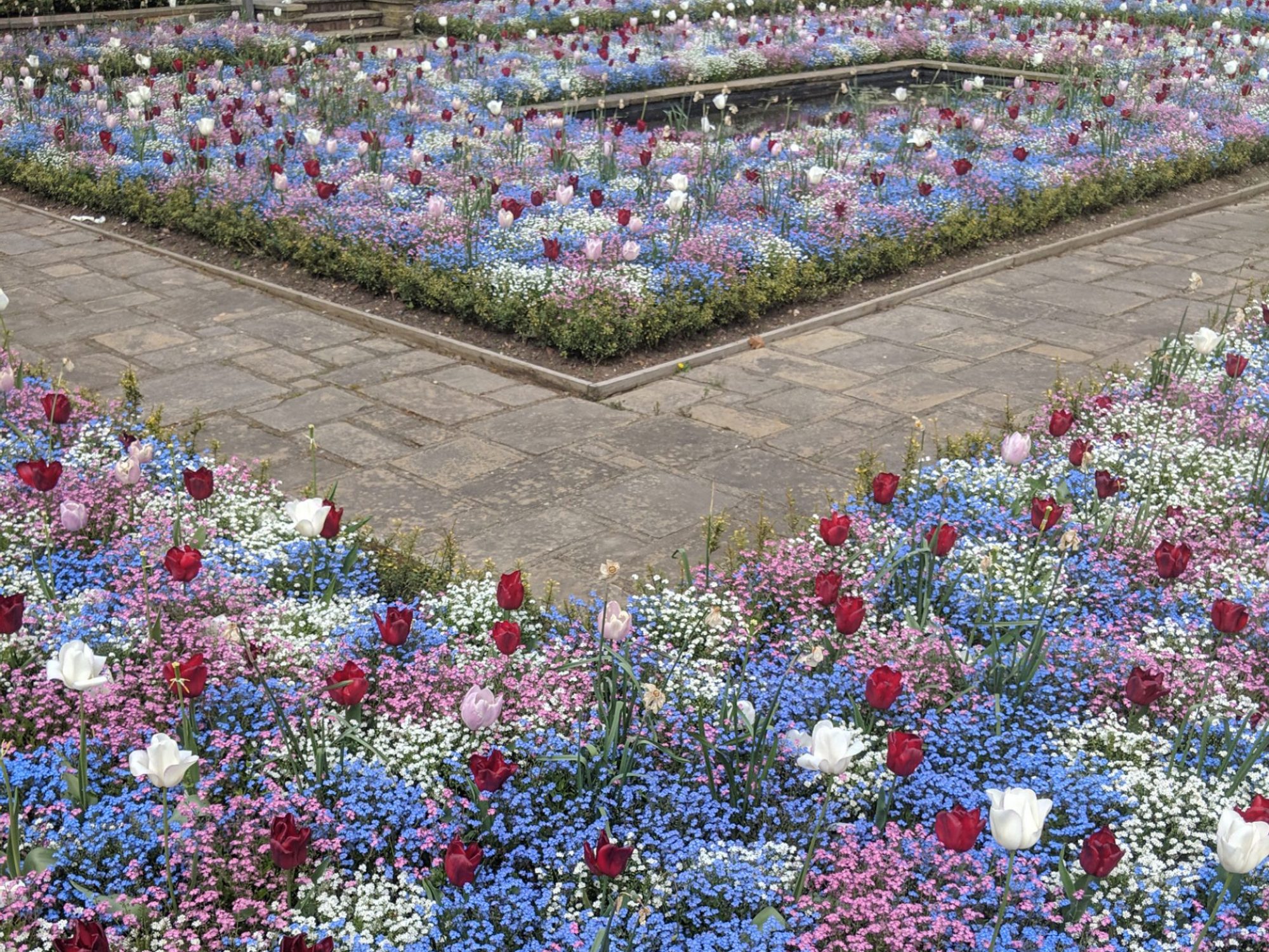 Two flower beds filled with blue, white, pink and red flowers, with a path running through them, and a pond behind them.