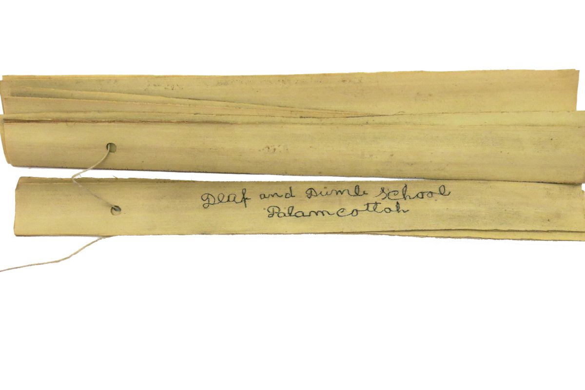 Manuscript of eight palm leaf sections.