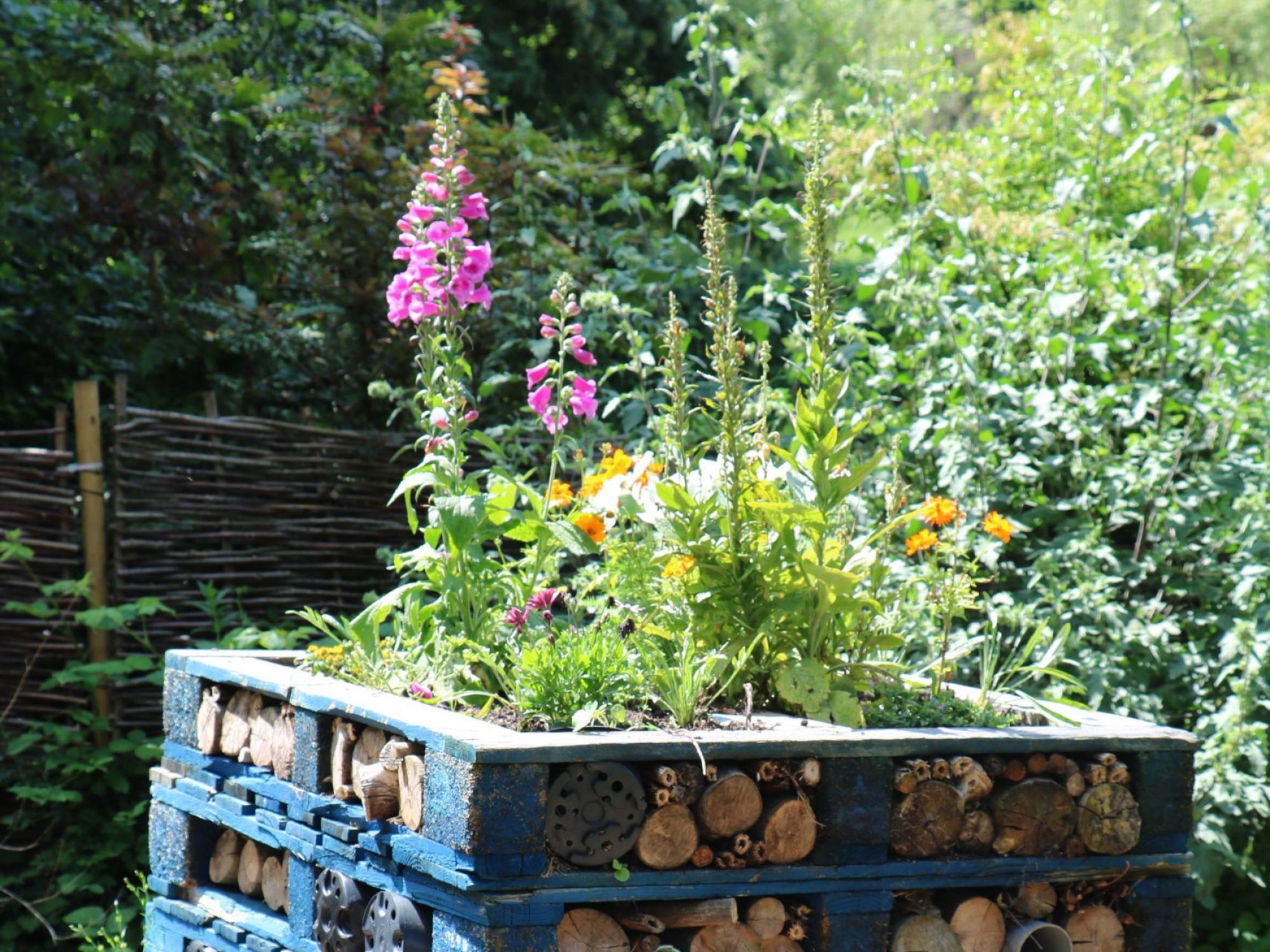 Square blue wooden pallets are filled with wood logs and bricks to make a bug house in an outdoor area. There are flowers and plants growing from the top of the structure