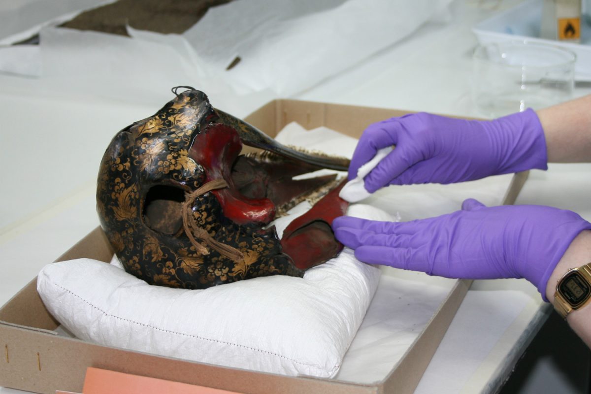 A conservator treats the dolphin skull