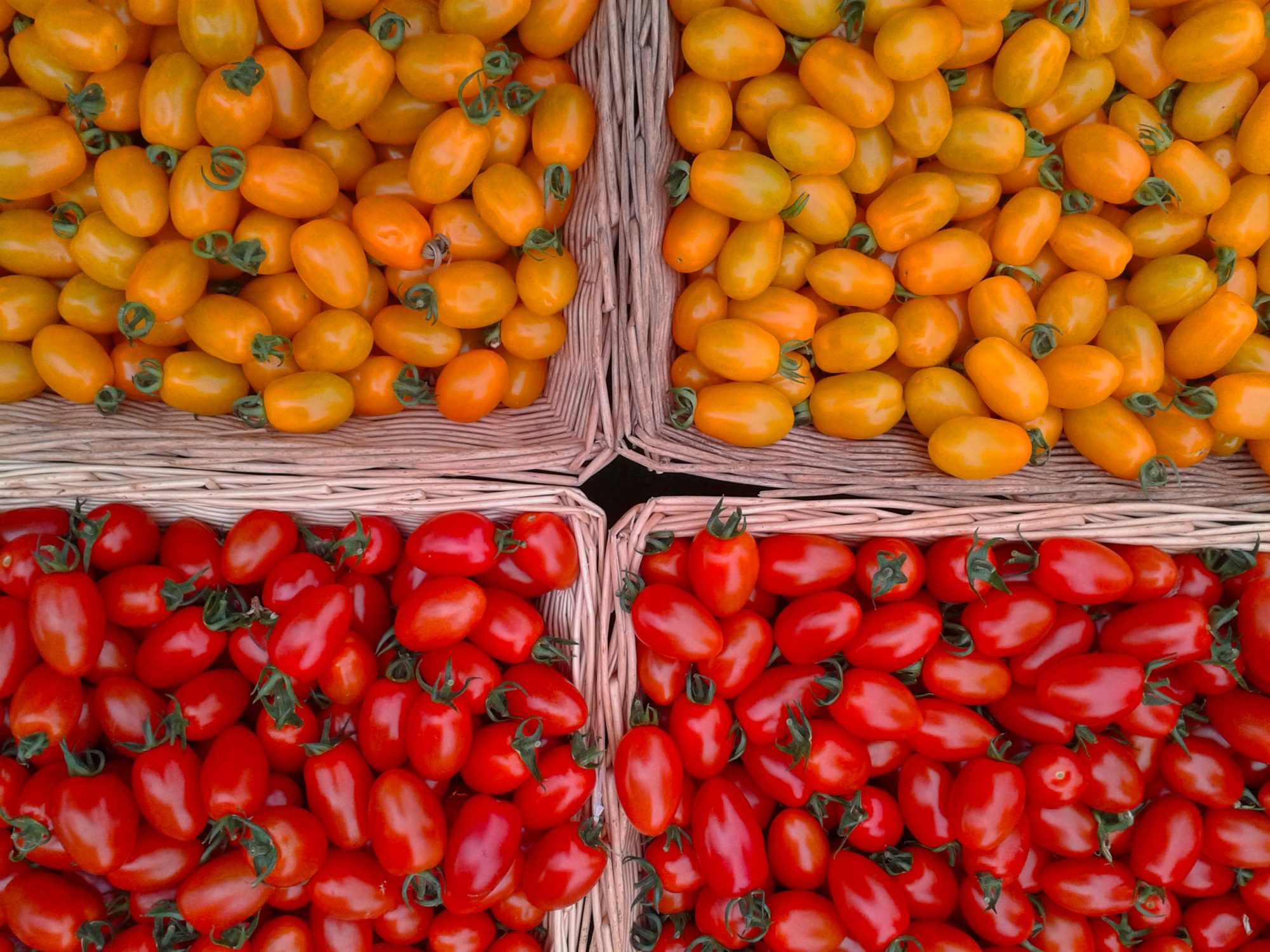 Four baskets with yellow baby tomatoes in the top two and red baby tomatoes in the bottom one